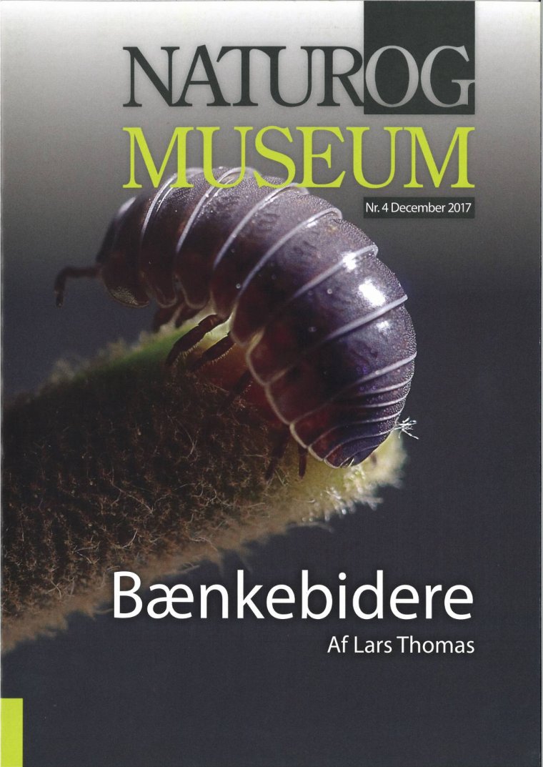 Bænkebidere